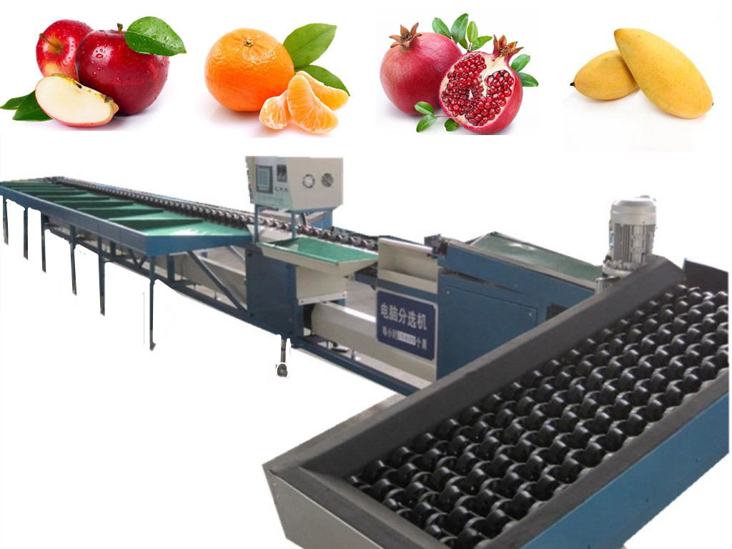 automatic fruit grading machine by computer,Fruit Grading Machine