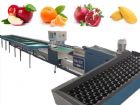 automatic fruit grading machine by computer