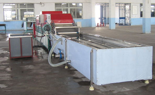 Mango Warm Water Processing Equipment,Fruit Grading Machine