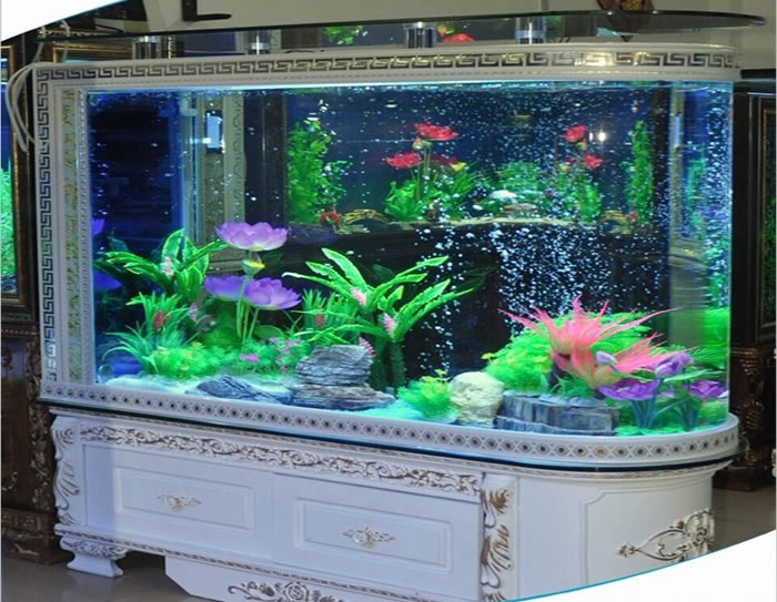 Fish Aquarium,Fish Aquarium