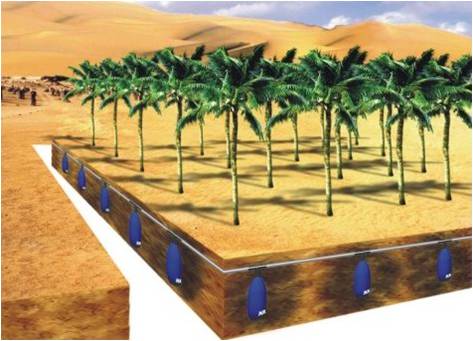 DESERTTUBE-2,Desert treatment irrigator system 