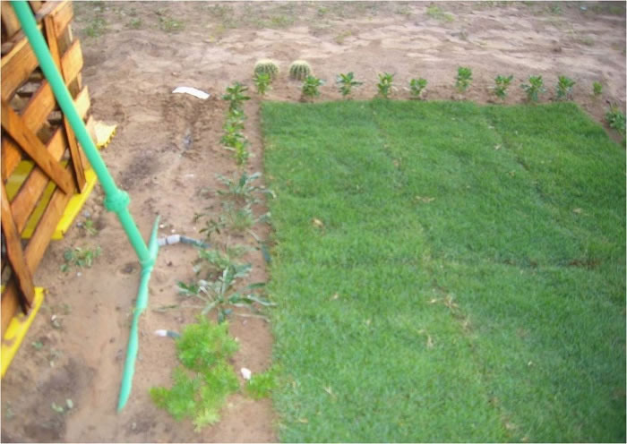DESERTTUBE-4,Desert treatment irrigator system 