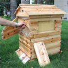 Honey Bee Farming 